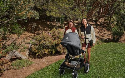 Types of bugaboo strollers